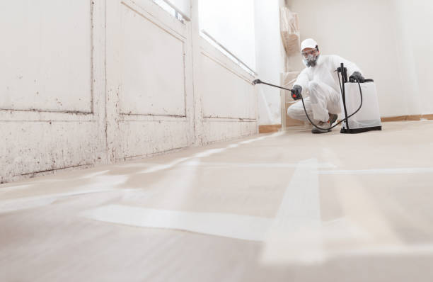 24/7 Emergency Mold Cleanup experts in Woodbridge, VA