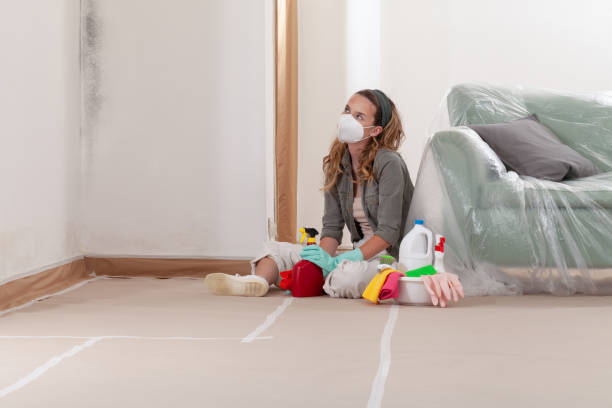 Reliable Mold Cleanup contractor in Woodbridge, VA by WQB Mold Removal